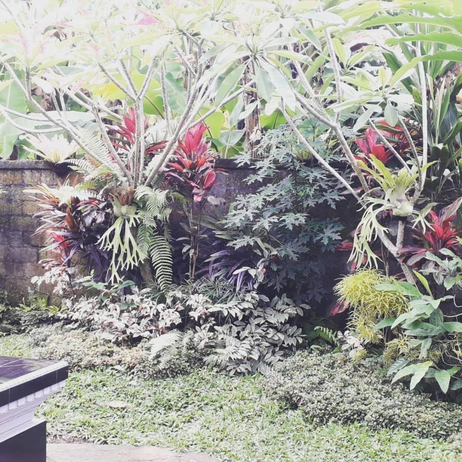 D'Sari Undisan Houses Bangli Ngoại thất bức ảnh