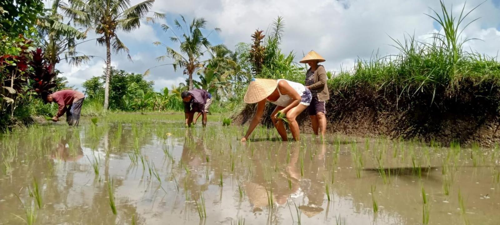 D'Sari Undisan Houses Bangli Ngoại thất bức ảnh