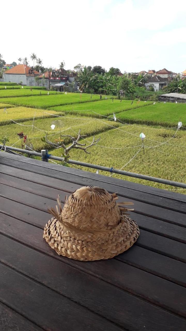 D'Sari Undisan Houses Bangli Ngoại thất bức ảnh